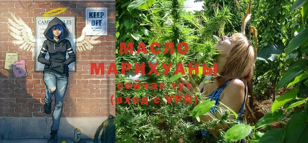 сатива Магас