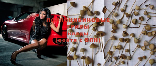 apvp Липки