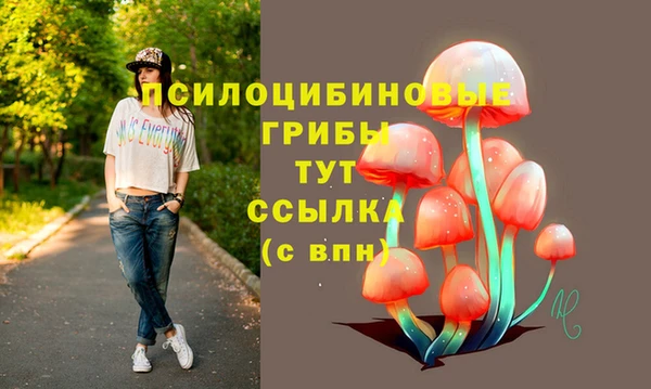 гидра Лихославль