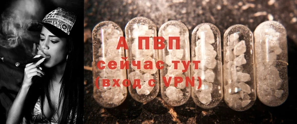 гидра Лихославль