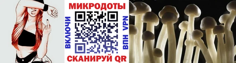 Псилоцибиновые грибы Psilocybe  дарнет шоп  Серпухов 