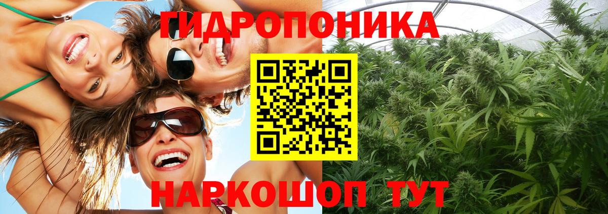 Бошки Шишки LSD WEED  МАРИХУАНА гибрид  Серпухов  Конопля White Widow  Вход с VPN  Конопля Bruce Banner 